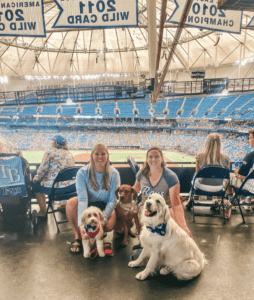 Dog Day at the Rays