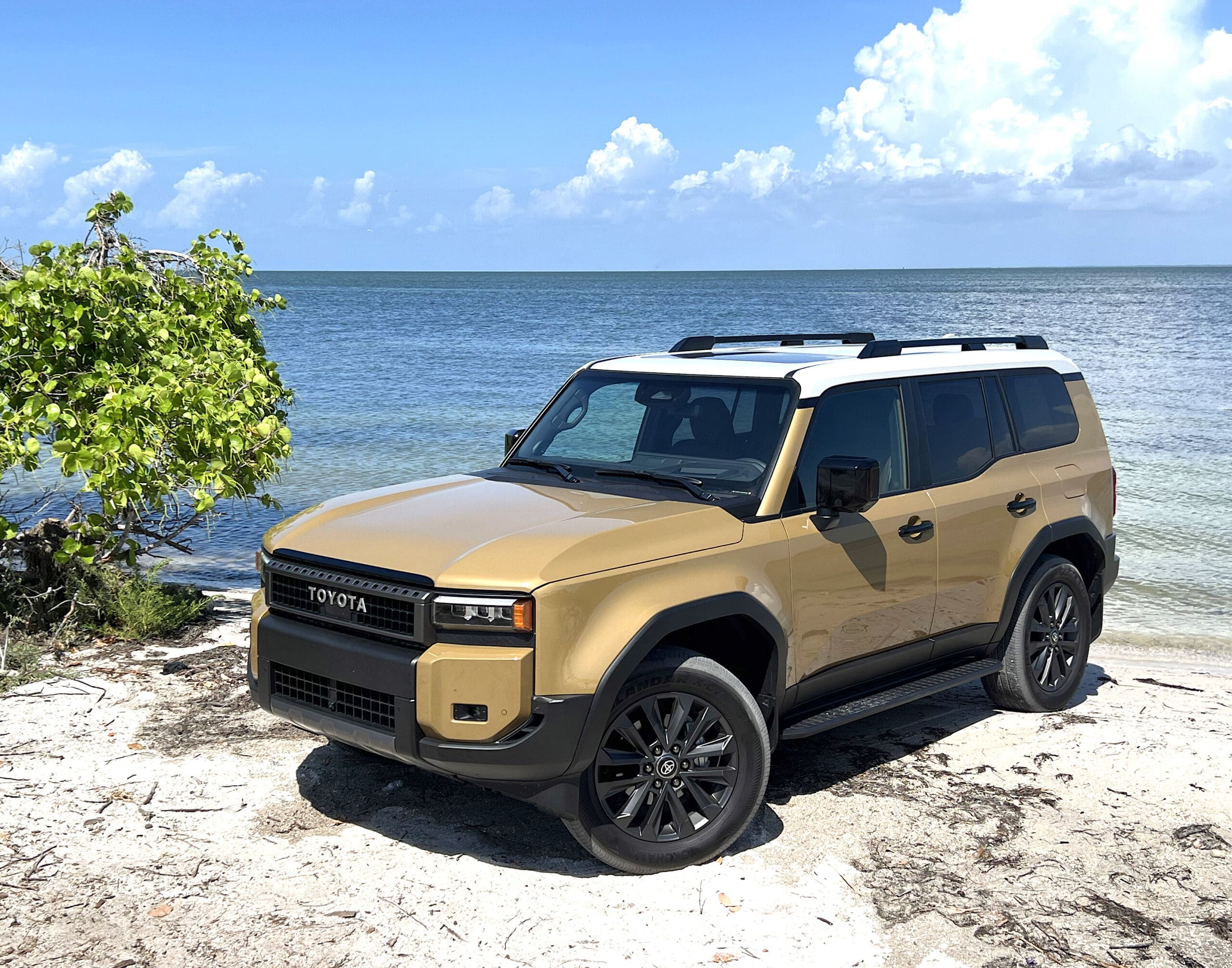 Weekend Wheels Spotlight – Back to the Future: 2025 Toyota Land Cruiser