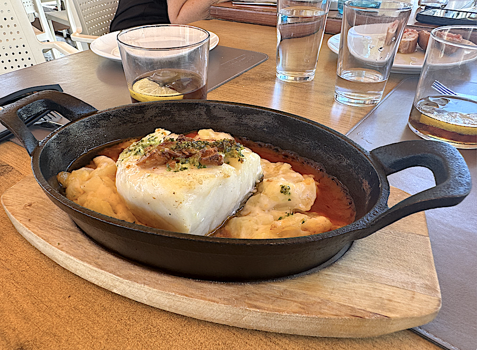 Cod Piece: Tampa Bay vs. Catalonia, Spain in a Fish Fight