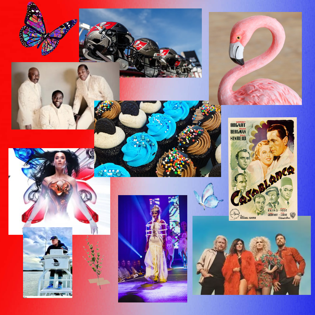 Weekend Top 10: Cupcakes, Wearable Art, and Rays on the Runway! It’s a BIG Weekend in Tampa Bay
