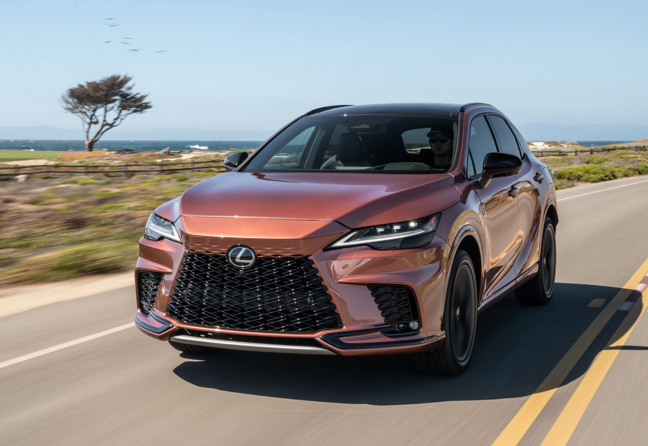 Good RX: 2026 Lexus RX 500h F Sport Performance