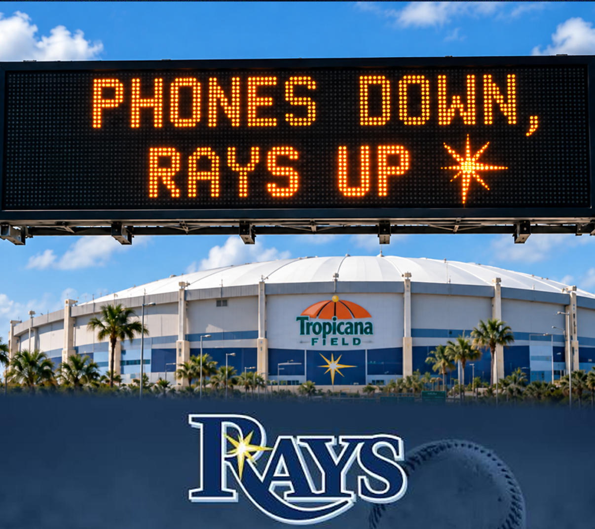 Shop Local, Cheer Loud: Represent Your Tampa Bay Rays Pride!
