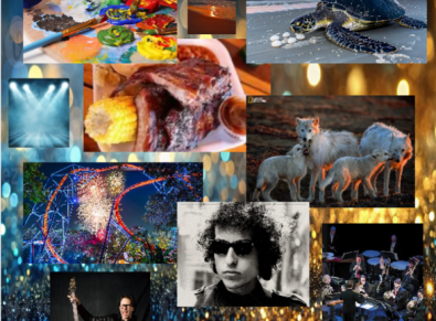 Weekend Top 10: Summer Special Activities Begin! Find Unique and Fascinating Ideas Right HERE!!